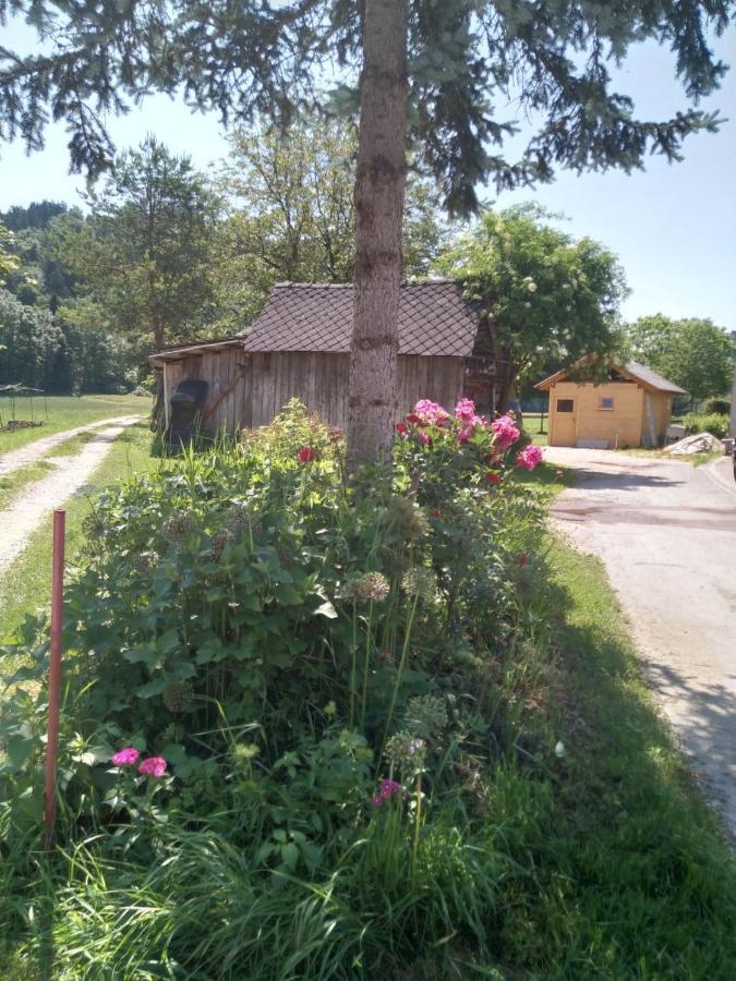 Hiska Zeleni Raj Villa Podnart Dış mekan fotoğraf